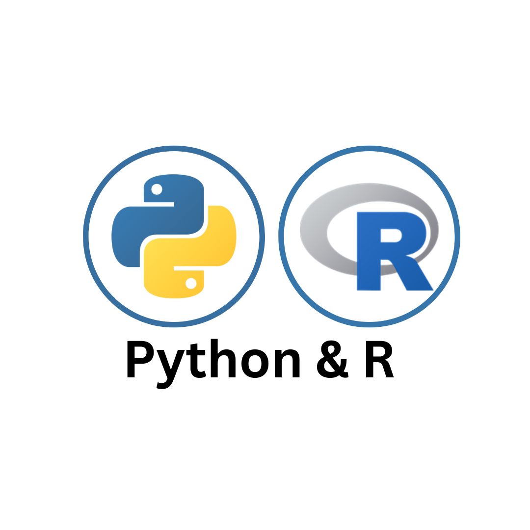 Data Science with Python & R Online Training