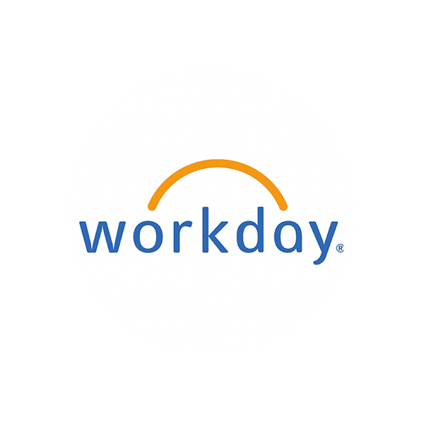 Workday Techno Functional Training